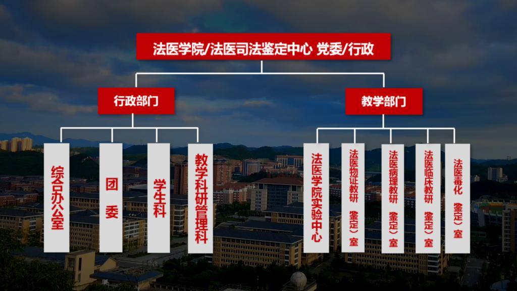 USDT娱乐城