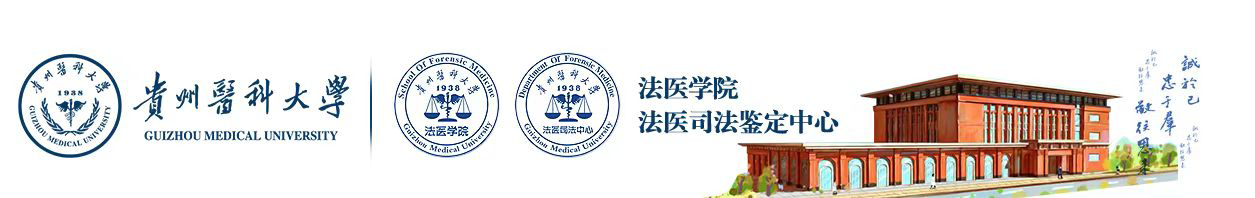 USDT娱乐城